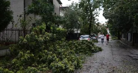 Bufere di vento, danni e disagi in molte zone