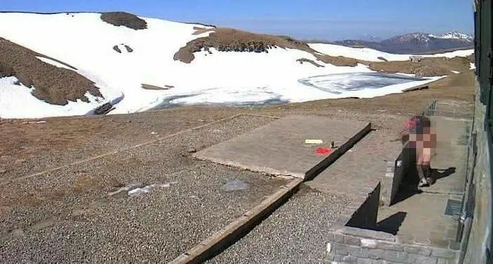 Fanno sesso in montagna, ma vengono ripresi dalla webcam