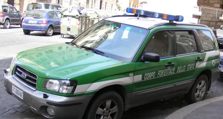 Il grano con i rifiuti tossici 4 indagati in Trentino