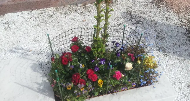 Al cimitero il recinto contro i conigli