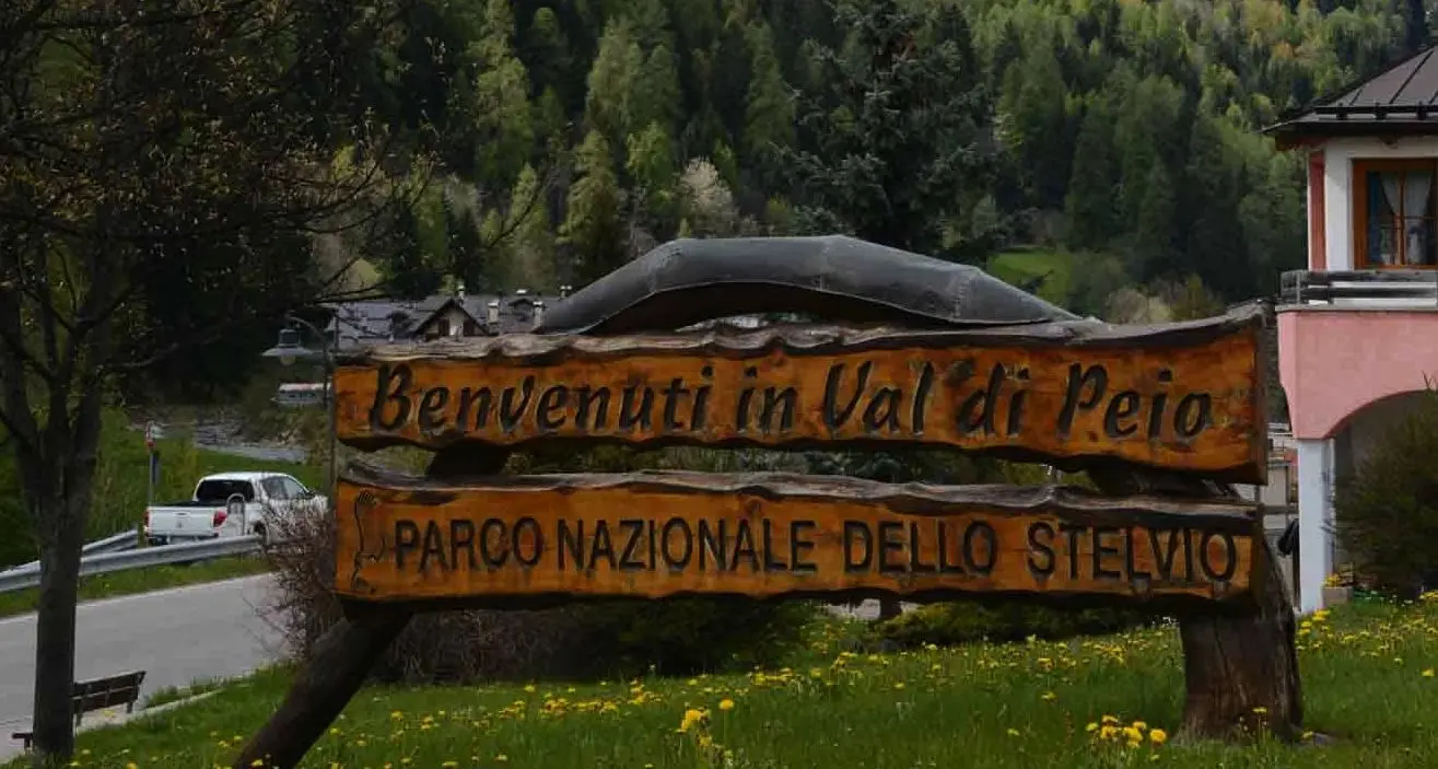 Parco dello Stelvio: così la nuova governance