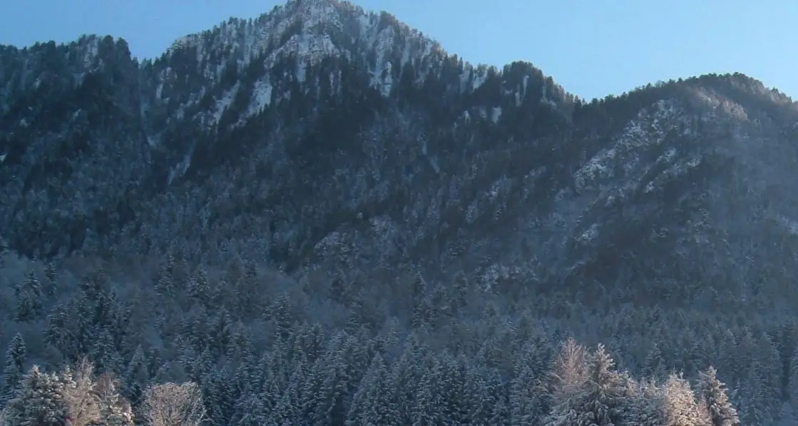 Anziano muore nei boschi di Bolbeno