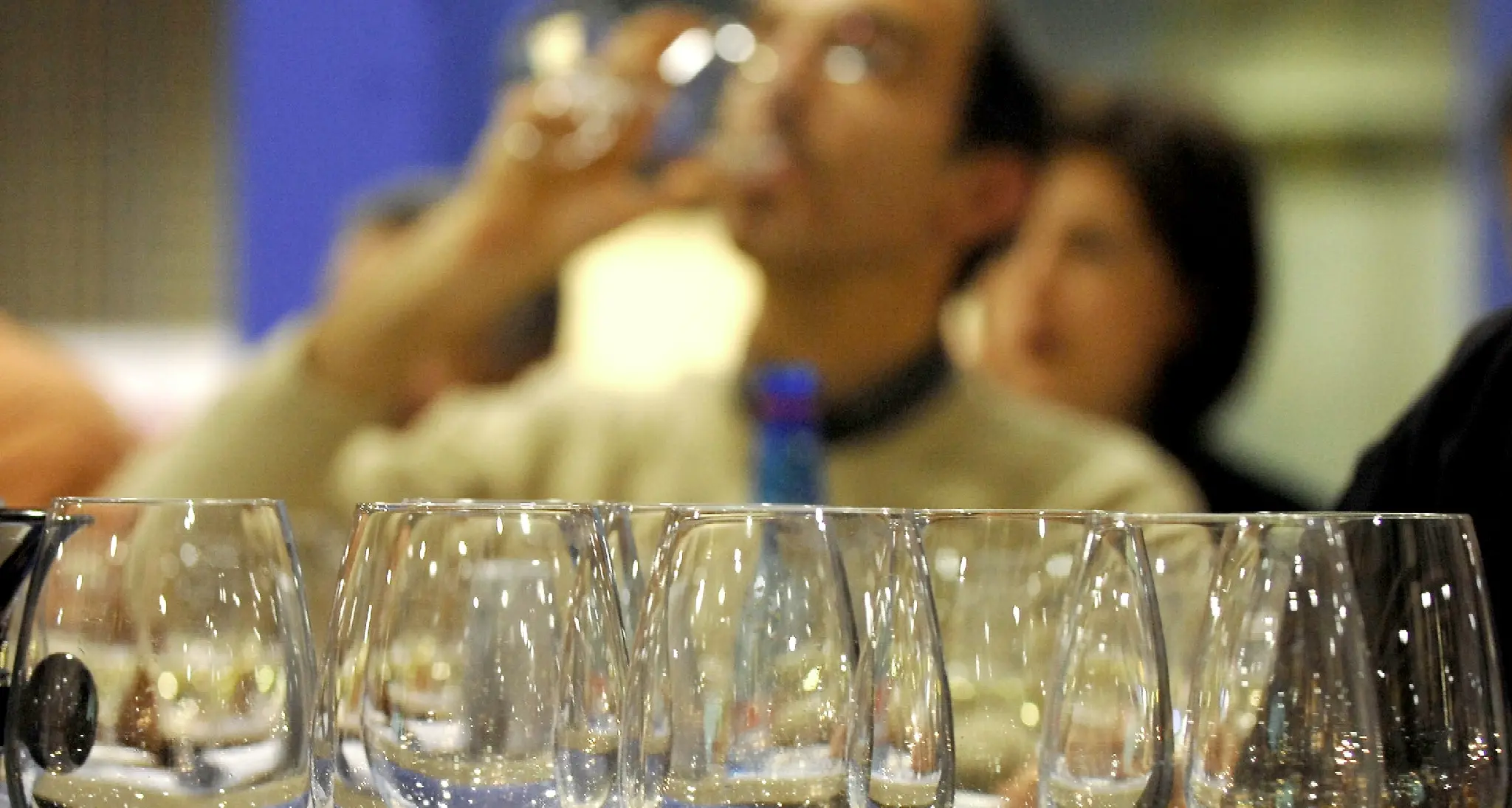 Dicci che vino trentino sei... e brinda con noi al Vinitaly!