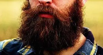 La barba lunga? Pericolosa Un covo di batteri, anzi no