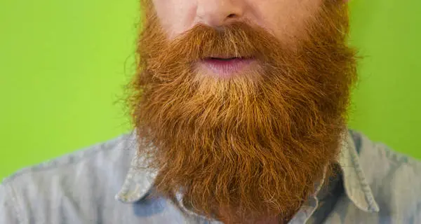 La barba da hipster? Un covo di batteri, circa 20mila