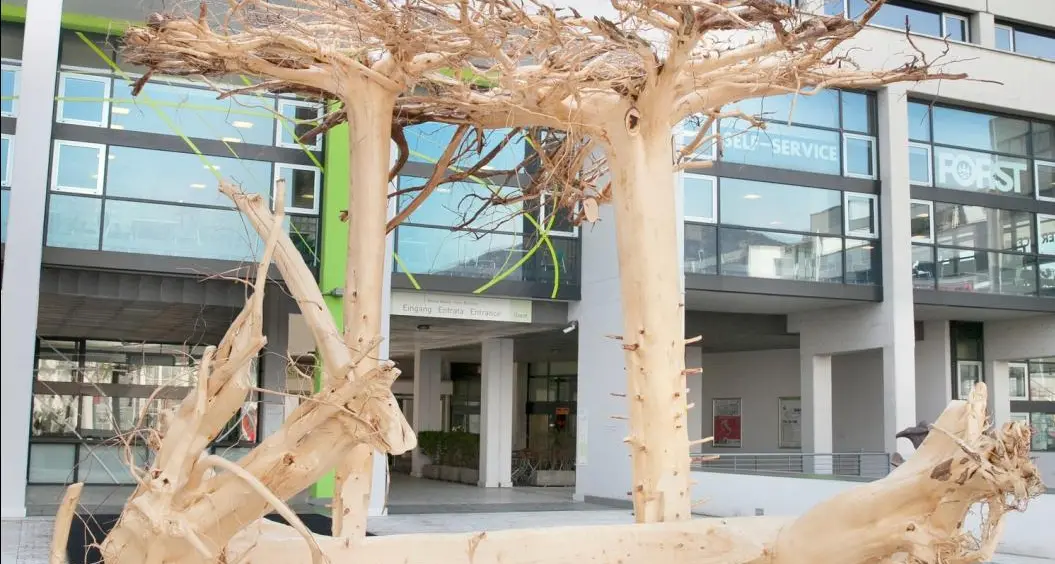 Oltre 38mila visitatori per Klimahouse 2015
