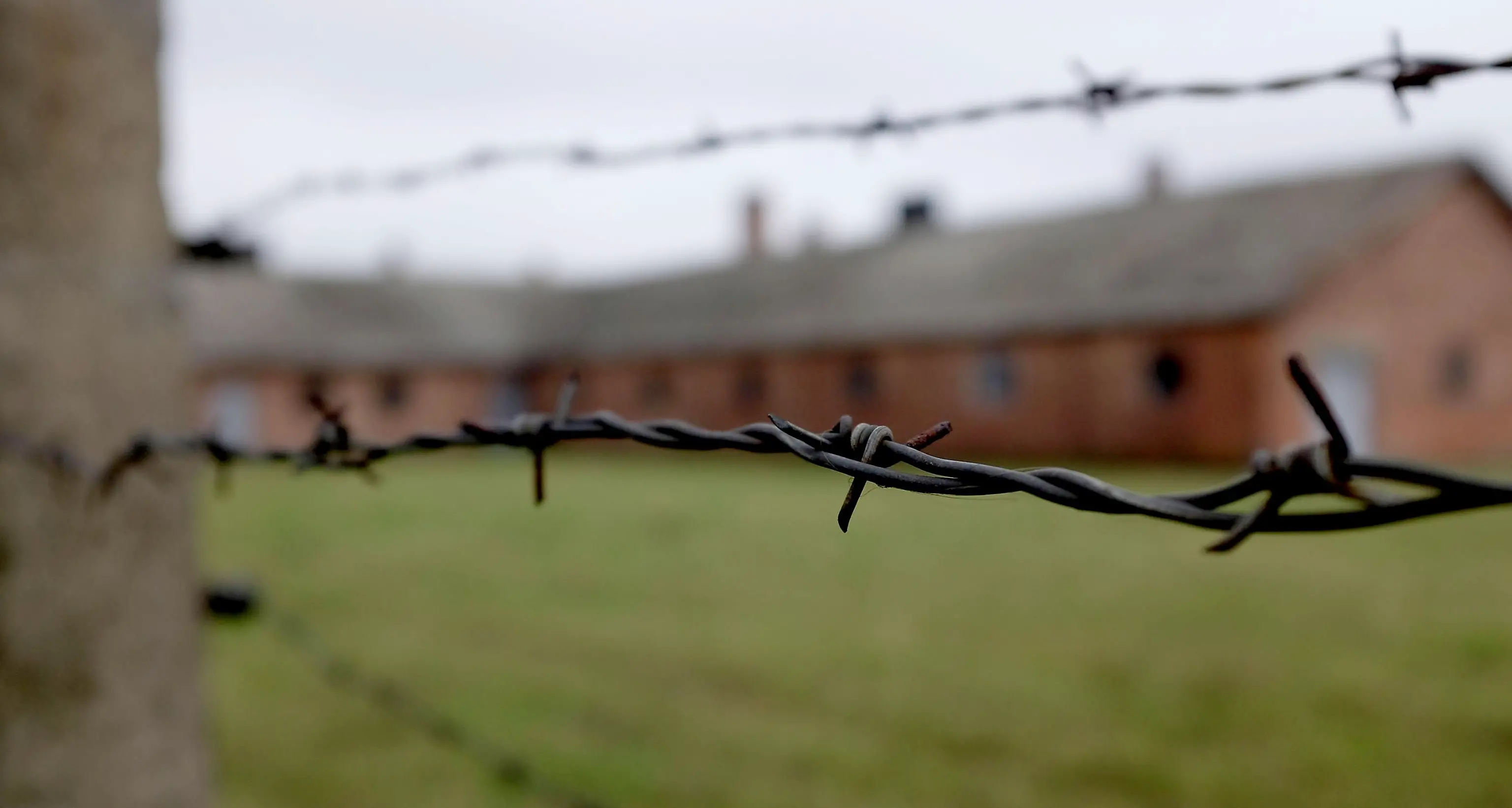 «La Shoah dell’arte», aderisce anche il Mart