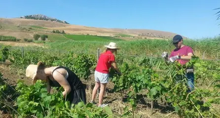 Al via le iscrizioni ai campi della legalità