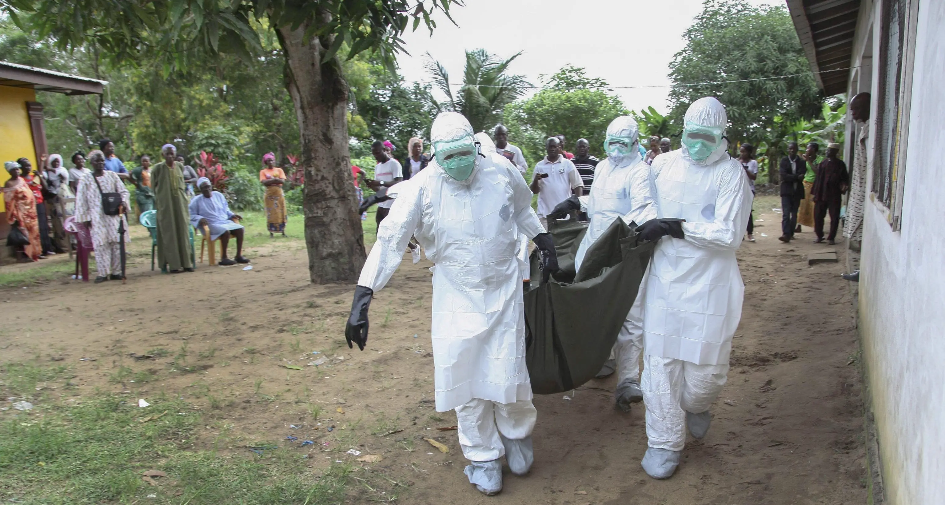 Un modello matematico trentino per combattere ebola