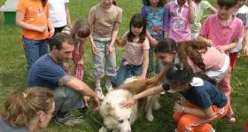 I cani sfilano in città in cerca di coccole