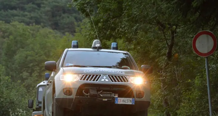 Vallarsa: trovato impiccato a un vecchio ponte un setter di 5 anni rubato un mese fa ad Arco