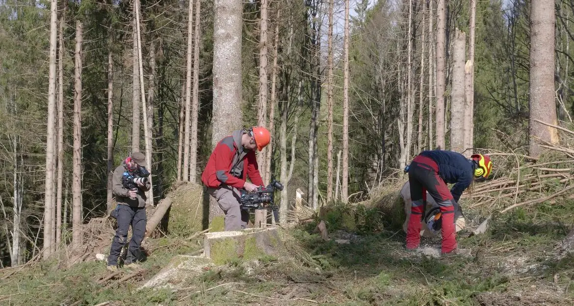 Successo per il programma sui boscaioli trentini e Vaia «star» ieri sera su Dmax