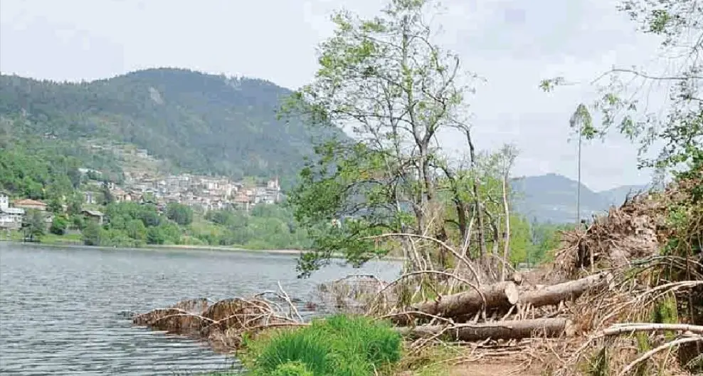 Baselga, la faticosa rinascita dopo Vaia L'urgenza di ripristinare il giro del lago Decenni per riavere la pineta di Bedolpian