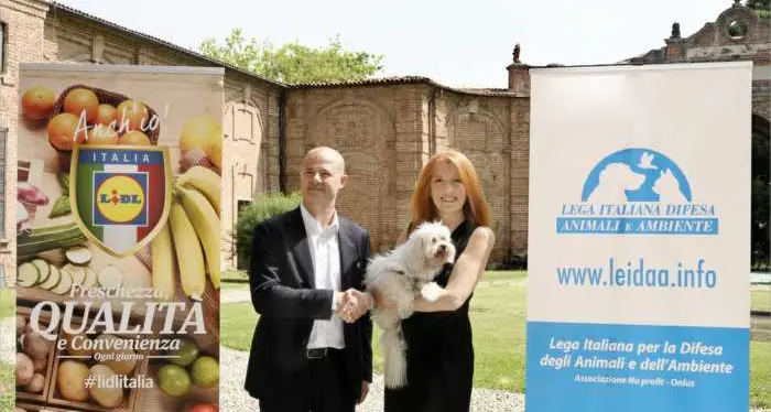 Leidaa e Lidl regalano 100.000 pasti all’anno ai randagi