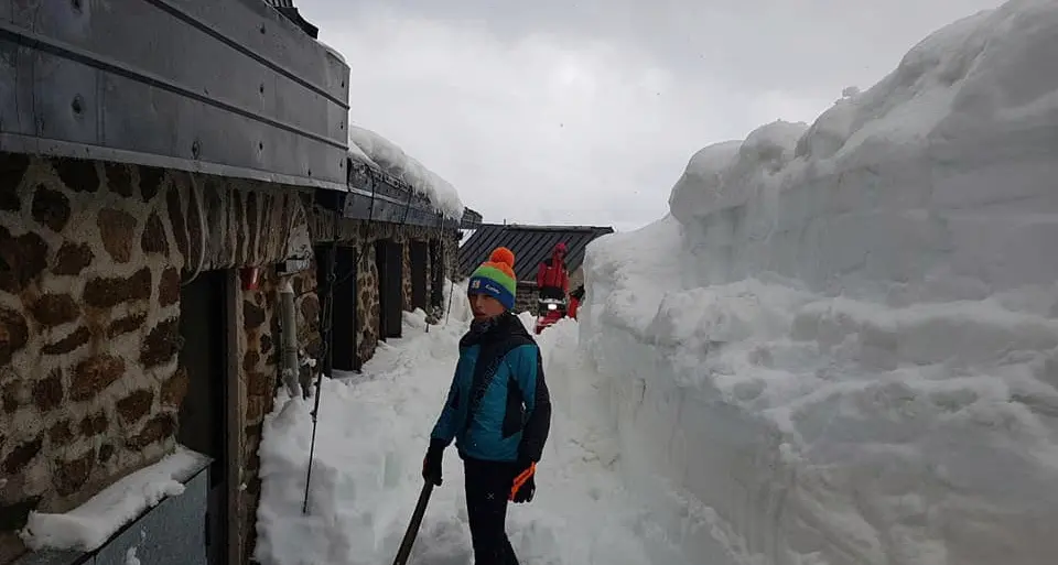 Dal rifugio Mantova al Vioz la notizia: «Abbiamo aperto» ma in mezzo a muraglie di neve
