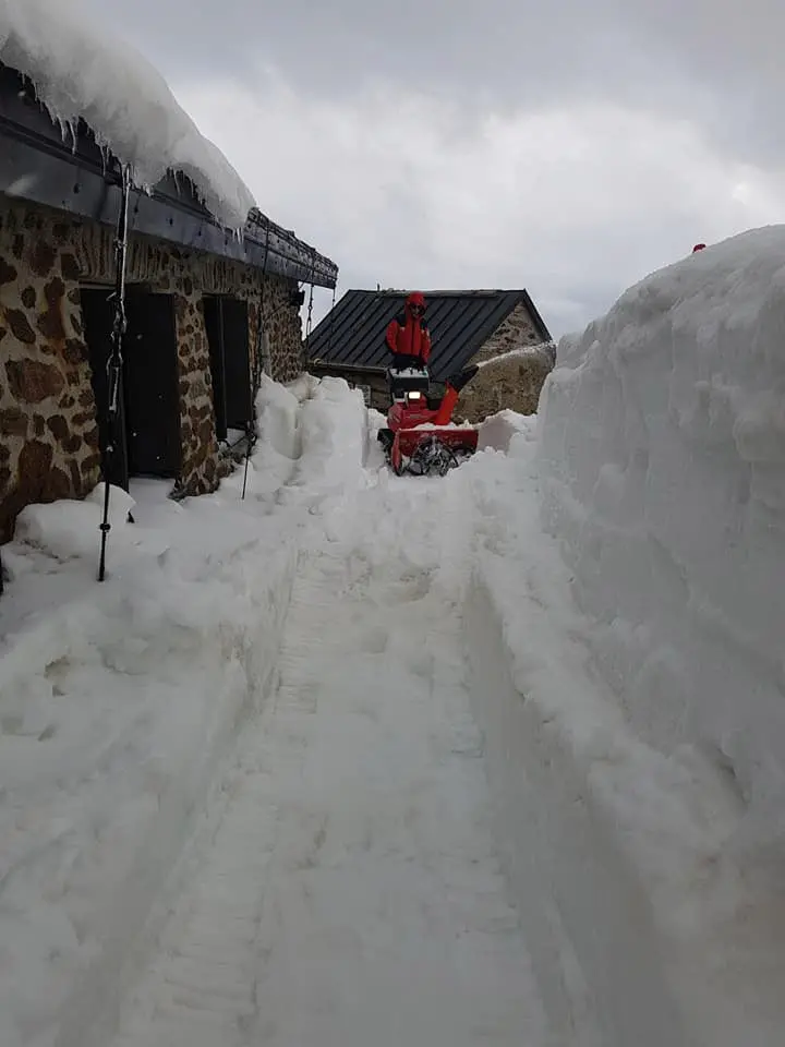 vioz sotto la neve