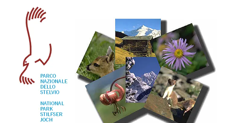 Stelvio, appello ecologista: Parco transnazionale, non diviso fra Province