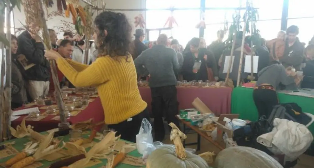 Agricoltura bio, a Feltre «Chiamata a raccolto»