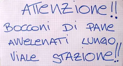 La denuncia: «La mia cucciola avvelenata dall'esca per topi»