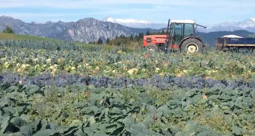 Tutelare il suolo agricolo Appello alla festa del Ringraziamento