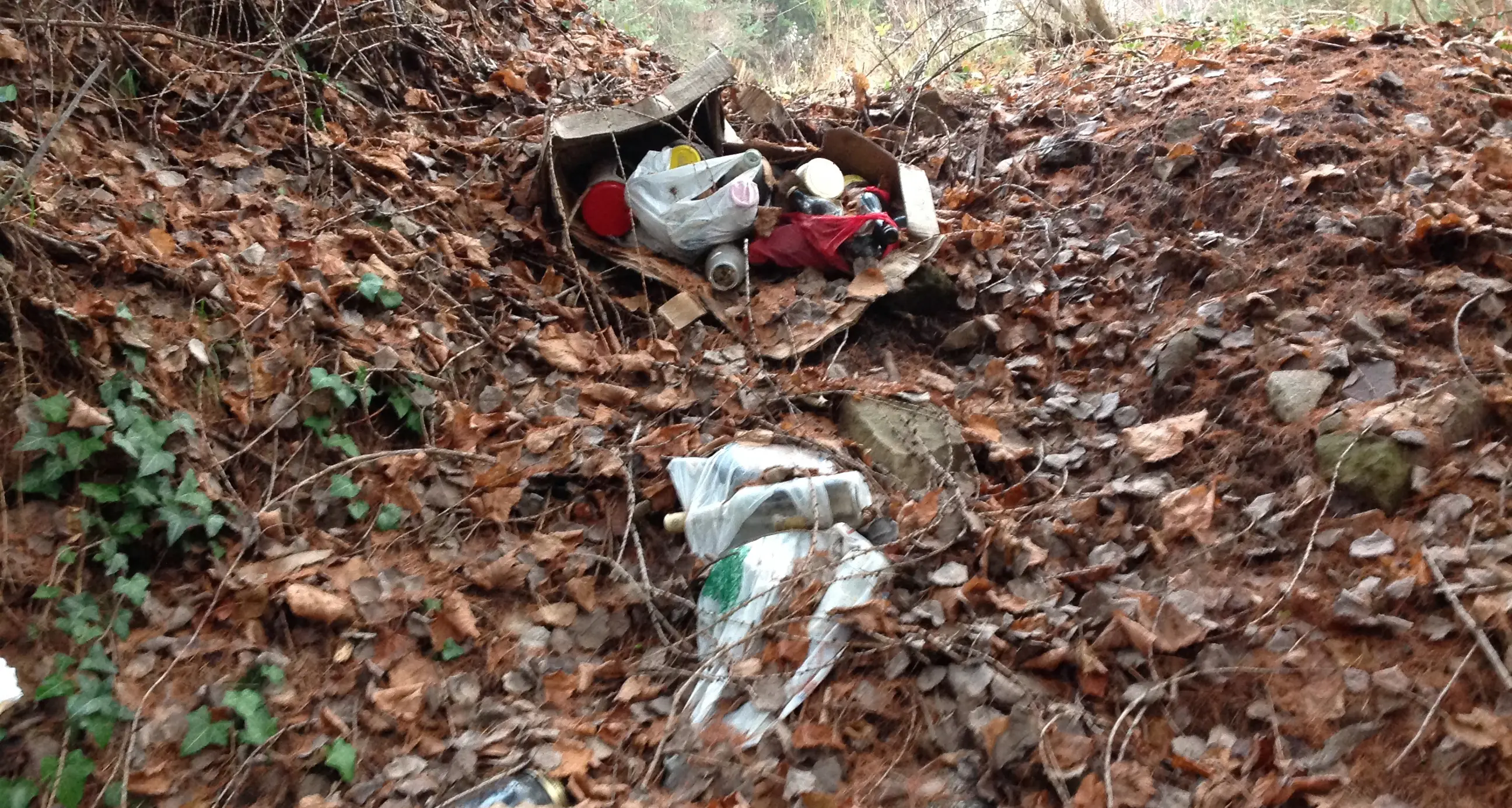Ecologista, ma scarica rifiuti nel bosco: 600 euro di multa