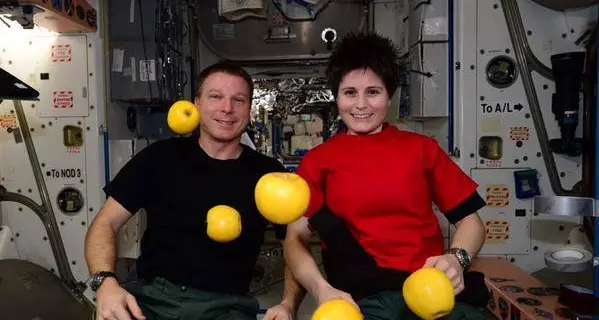 Samantha parla ai ragazzi dallo spazio e promuove le mele
