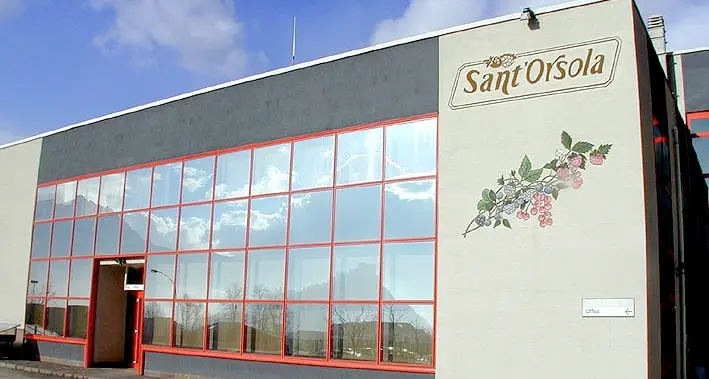 Sant'Orsola, produzione e utili in aumento