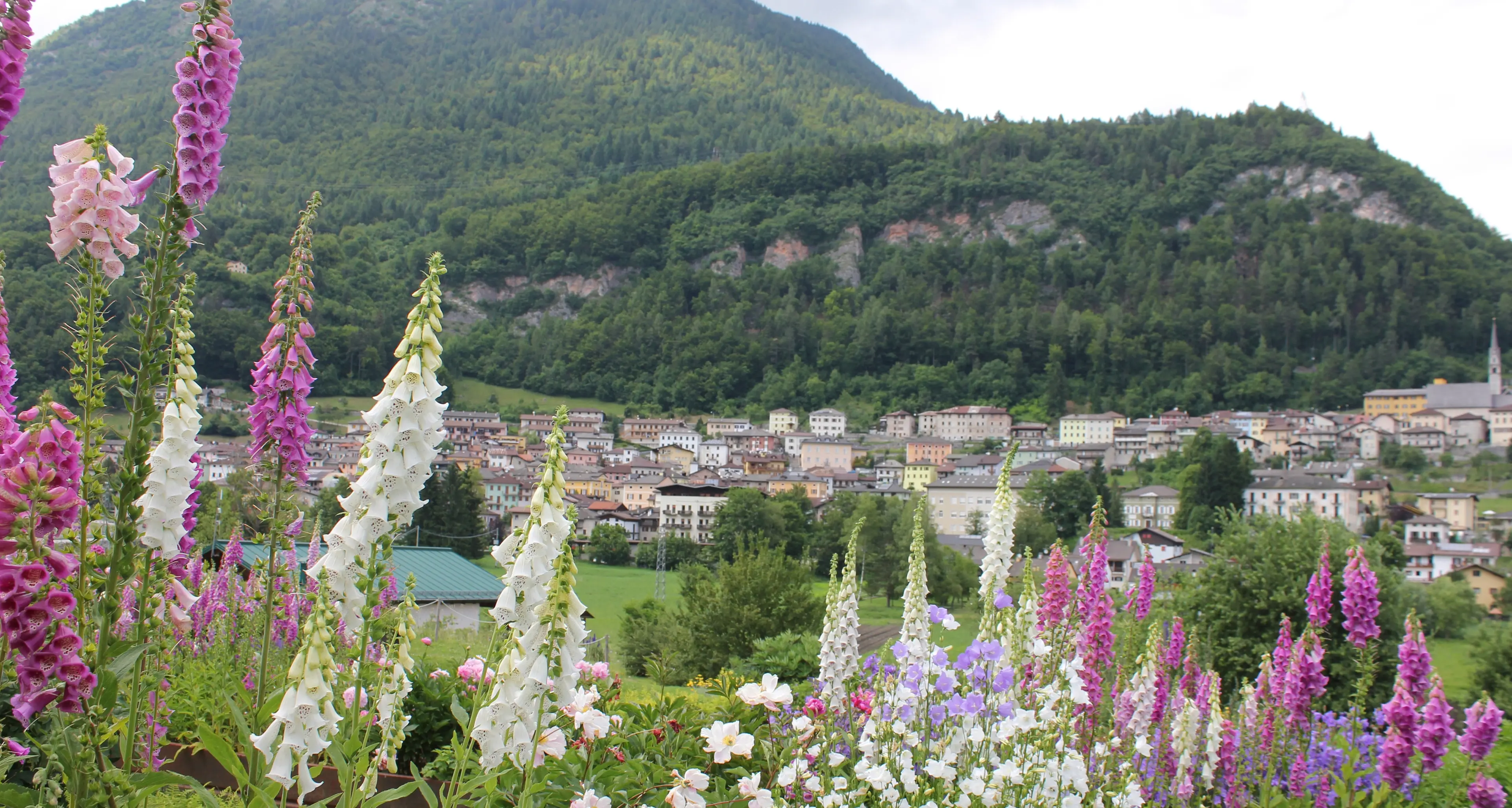 Dal 13 giugno le visite guidate al Giardino d’Europa di Pieve Tesino