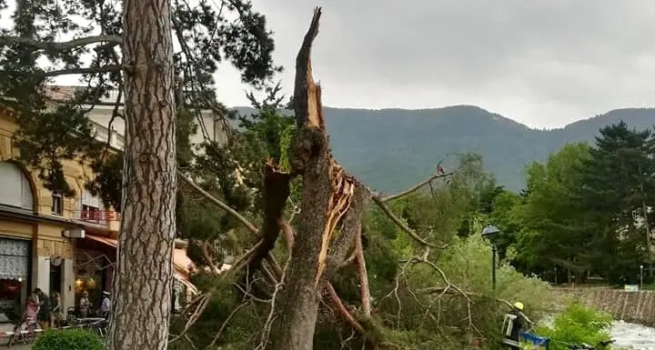 Bufera a Merano, crolla albero Feriti una donna e suo figlio