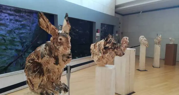 Al Muse \"Wildlife\", gli animali nelle sculture di Lingl-Rebetez