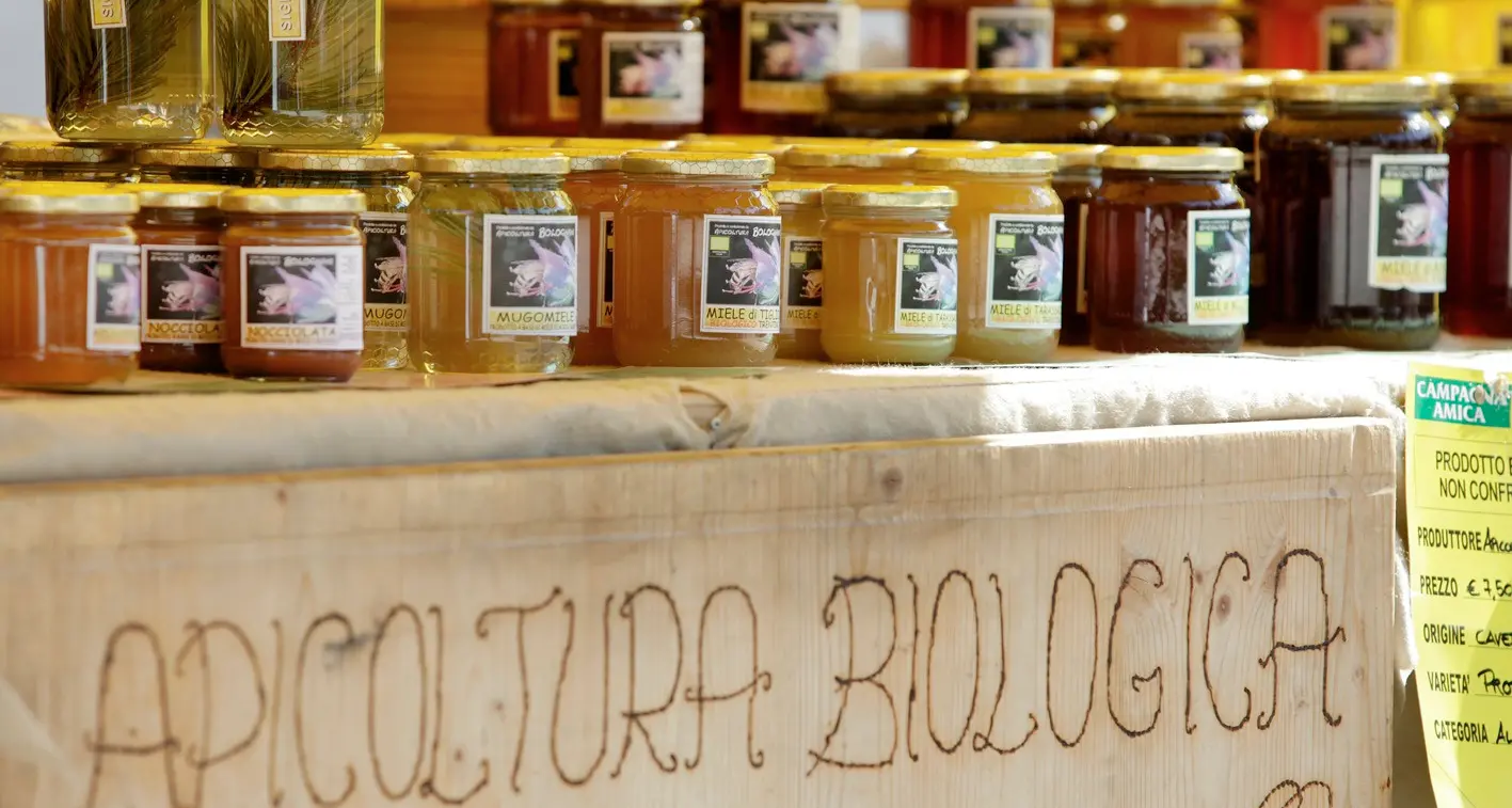 Ai tedeschi piace il biologico trentino Mercato da cinque miliardi con ottime potenzialità per l'export