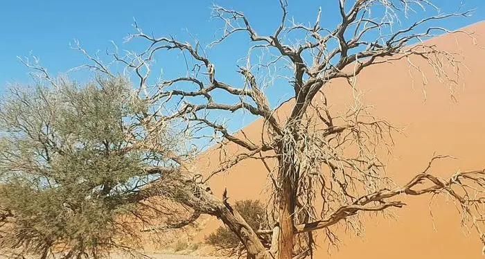 Scienziati, urge azione sul clima per proteggere la salute