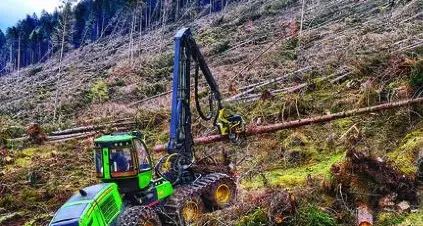 Le foreste devastate: i lavori avanzano ma il turismo rischia
