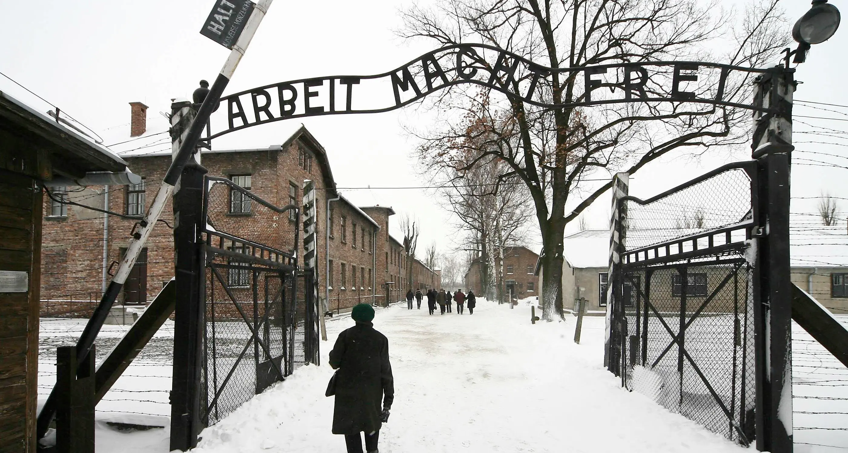 Giornata della memoria, molti eventi in Trentino