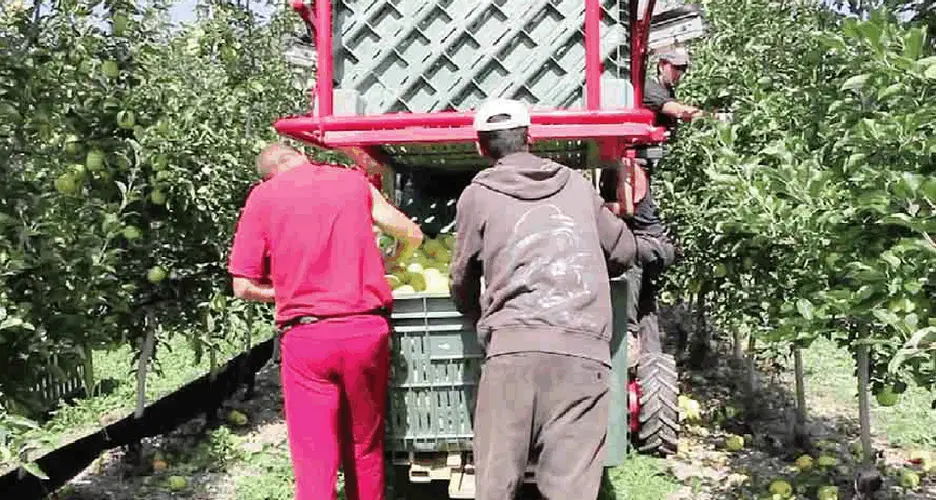 In Trentino 464 lavoratori in nero o irregolari scoperti da gennaio nel turismo, edilizia e agricoltura Tra le aziende controllate una sui 6 non era a norma