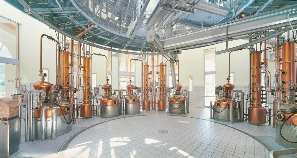 I primi 70 anni di Marzadro la grappa fra storia e marketing e oggi compleanno con tutto il paese