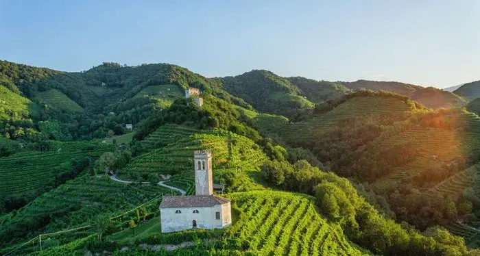 Le colline del Prosecco pronte a diventare per l'Unesco \"Patrimonio dell'Umanità\"