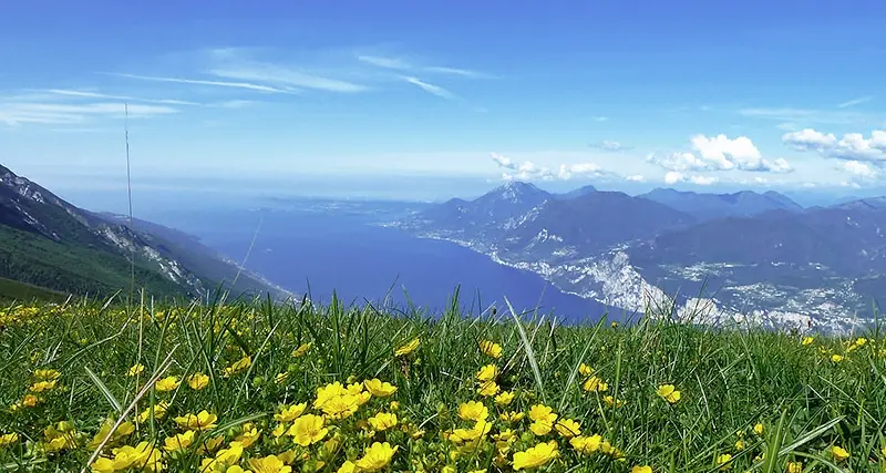 Parco del Baldo, formazione ambientale