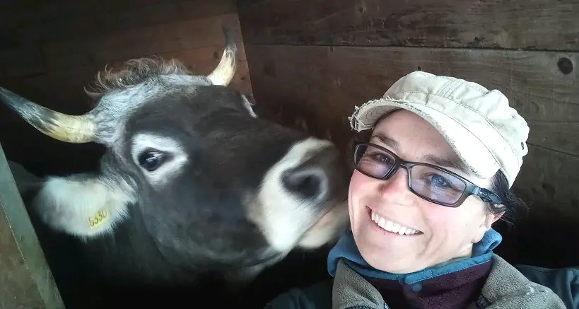 Notte di veglia aspettando l'orso Flavon, Elena Guella fa la guardia per difendere la vacca e il bue