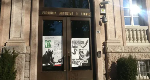 Blitz della campagna #StopCasteller Manifesti per la liberazione degli orsi Tappezzato anche l'ingresso in Provincia