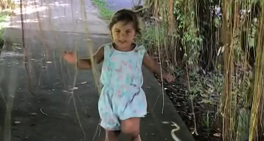 Paura: il serpente balza per mordere una bambina di 5 anni - Video