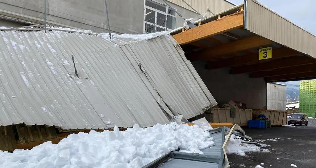 Il peso della neve fa collassare una tettoia al magazzino frutta AVN di Casez: nessun ferito