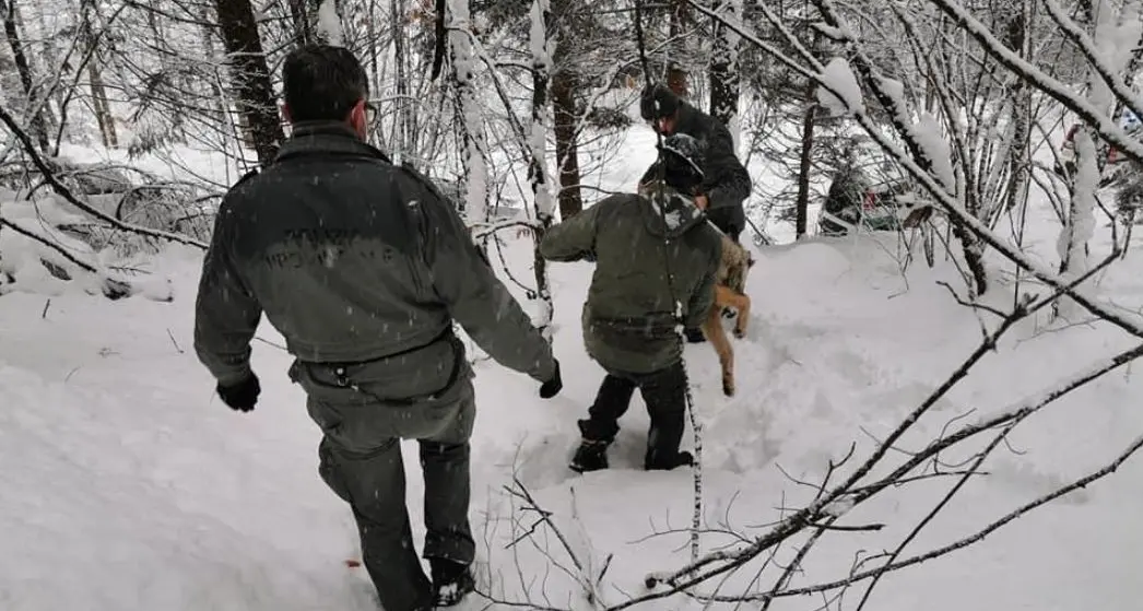 Storia della lupetta menomata, uccisa dalla grande nevicata, e degli uomini che hanno provato a salvarla