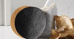 Bellezza, moda, packaging il 2021 sarà l'anno dei funghi