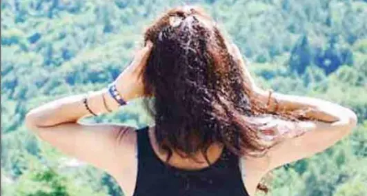 Comunità a caccia di idee giovani Altipiani Cimbri, appello agli under 35 Un progetto per il bando «Foresta»
