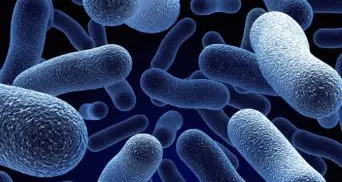 Se il tuo microbioma sta bene, stai bene anche tu: ecco perché la salute è una questione di intestino