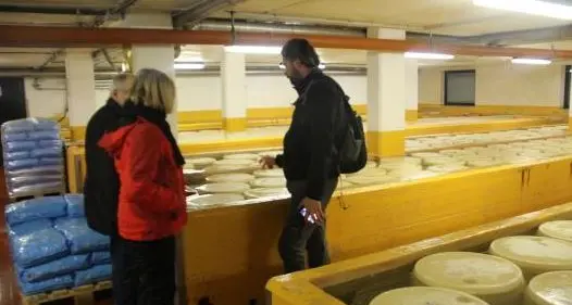 Batterio nel formaggio, nuovo processo per il Caseificio di Coredo, ancora in cura il bambino che rischiò di morire