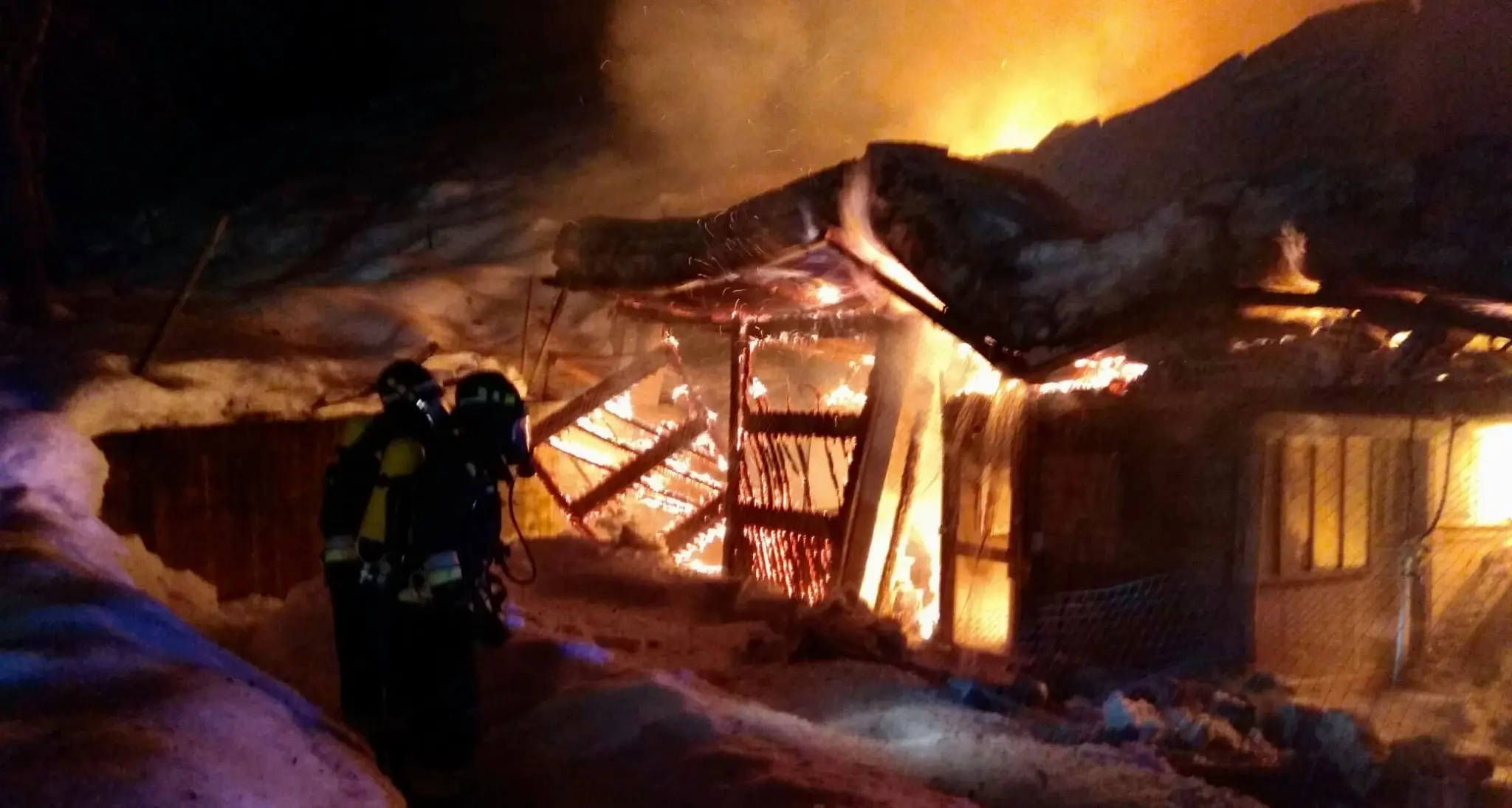 I vigili del fuoco salvano il gregge di capre dalla furia delle fiamme