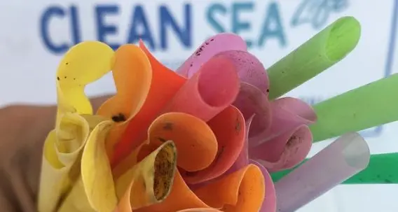 Clean Sea, in quattro anni rimosse 112 tonnellate di plastiche dal mare