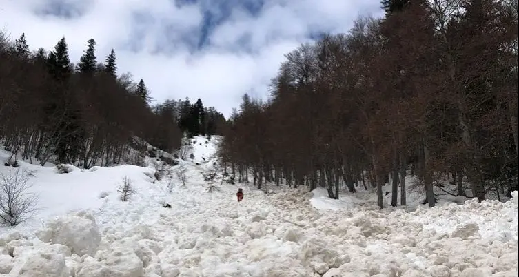 Valanga in Vallesinella: sul posto il Soccorso Alpino, nessuna persona coinvolta